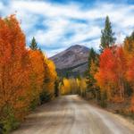 Mountain Towns and National Parks