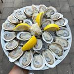 The Whalesbone Elgin Street