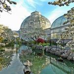 Belle Isle
