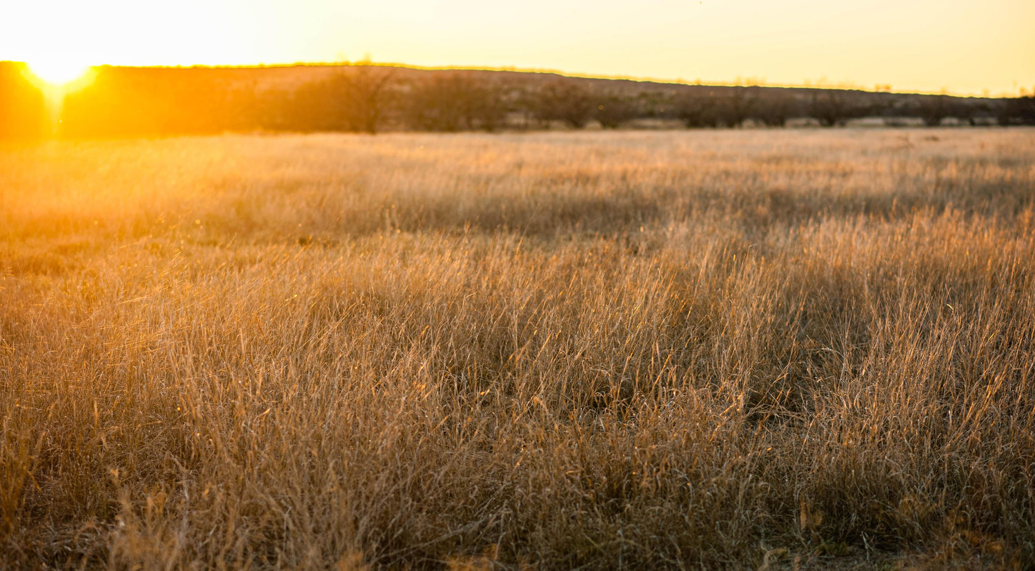 The Wedding Website of Savannah Syler and Toby Falcon