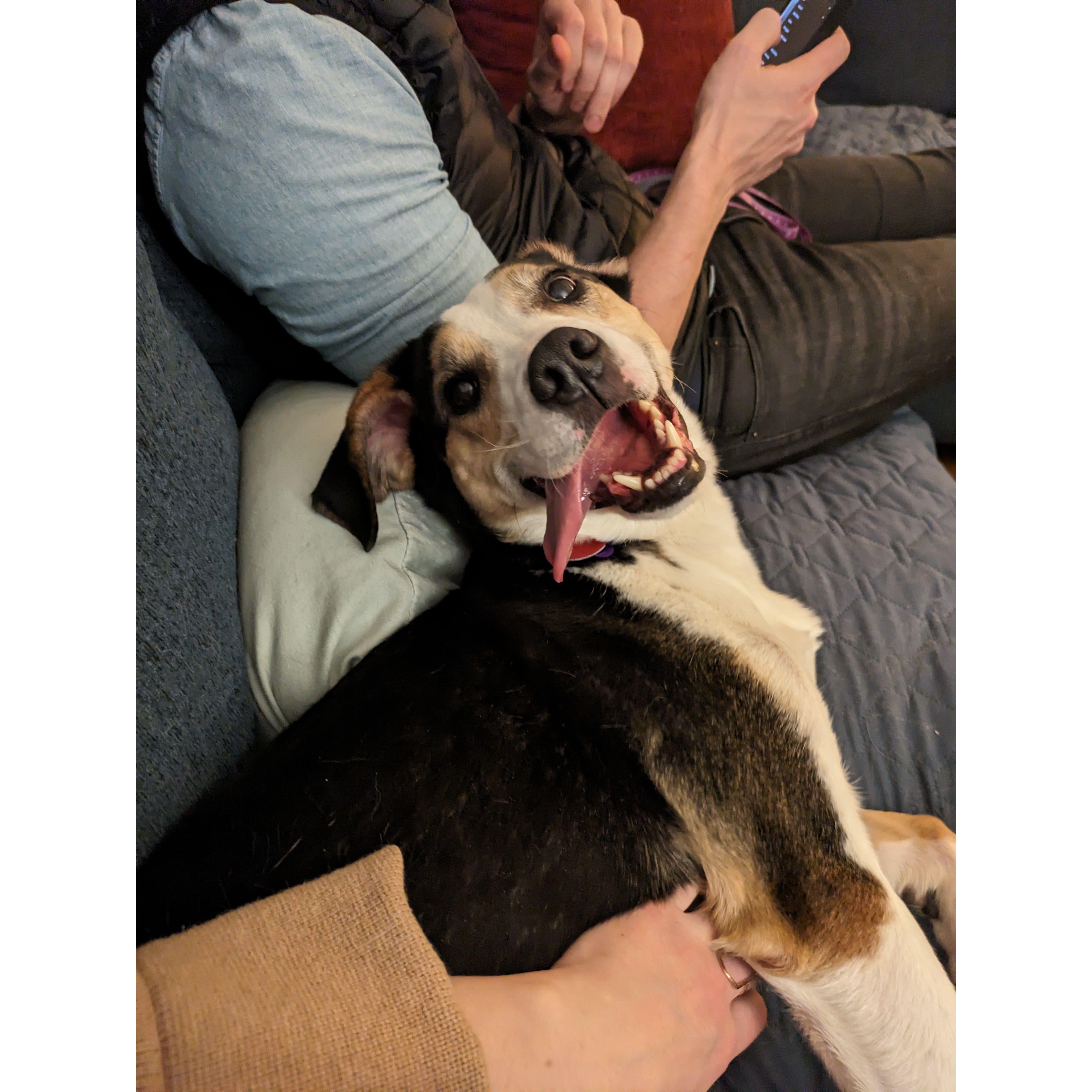 And along came Guppy the Puppy! Guptown guy, the Gupster, Gupperoni