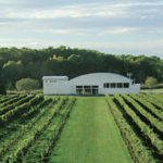 Saltwater Farm Vineyard