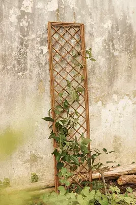 Rectangle Willow Trellis, Small