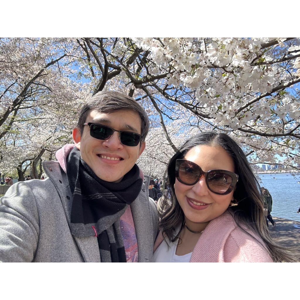 Cherry Blossoms in DC (practice for our Japan Honeymoon) !