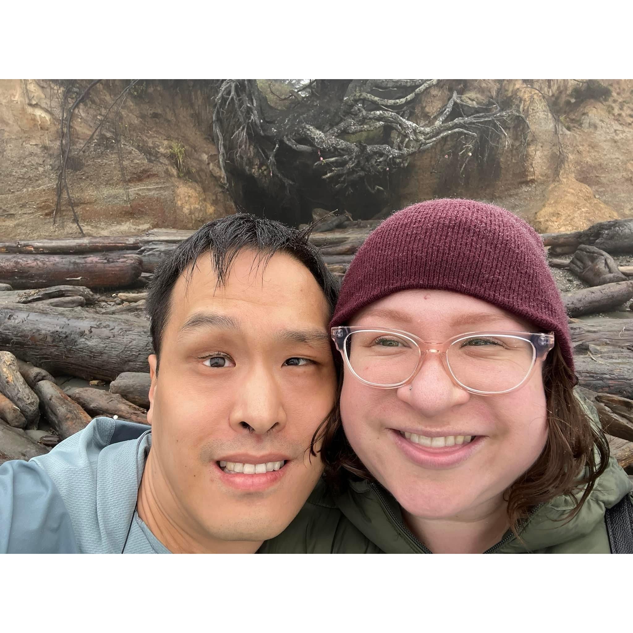 Tree of Life near Forks, WA - October 2023
