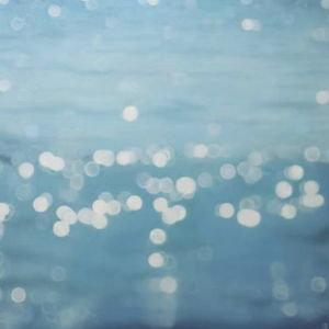 Commissioned Painting - “Sydney Sunlight Dancing on Water”