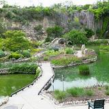 Japanese Tea Garden
