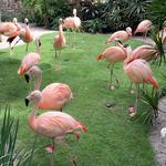 Sunken Gardens