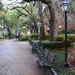 Stroll Through the College of Charleston