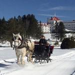 Sleigh Rides and Horse Drawn Carriages