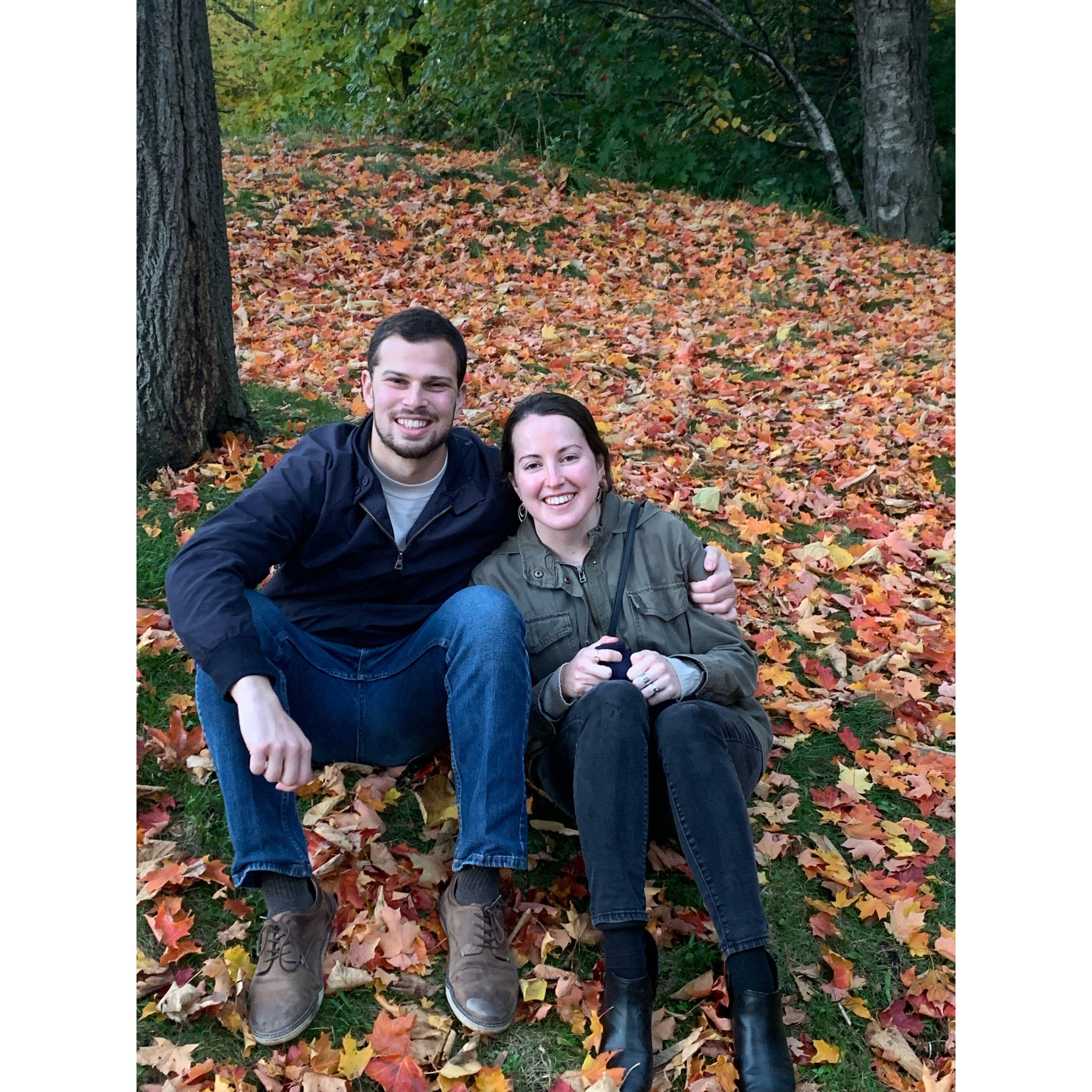 Sitting in some foliage in Montreal, Canada