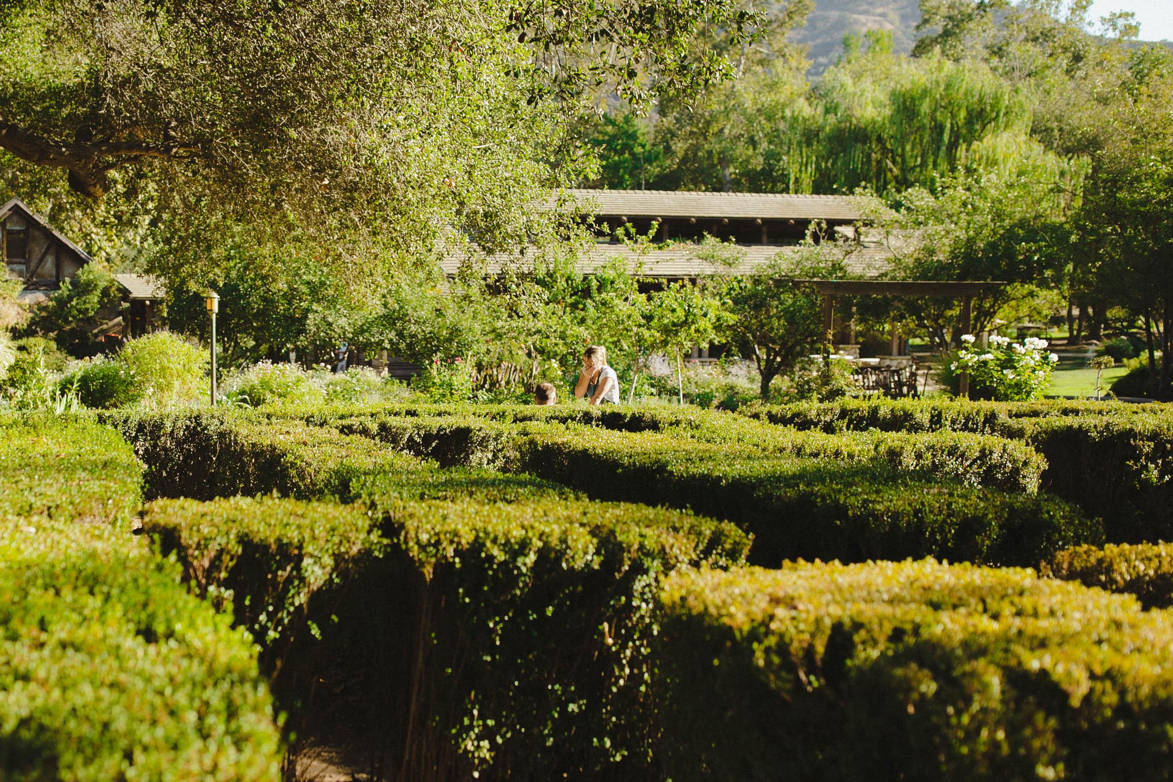 The Wedding Website of Jannell De La Nuez and Yousef Ibrahim