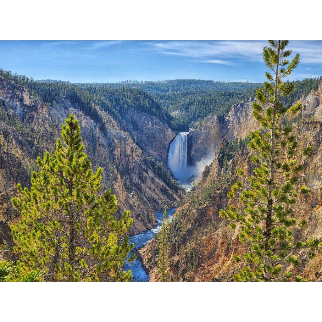 A professional shot of where I said yes! Artist's Point, Yellowstone National Park