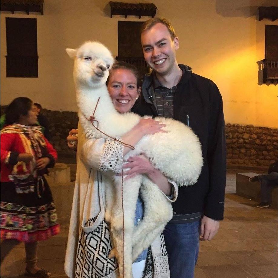 Poncho the Llama