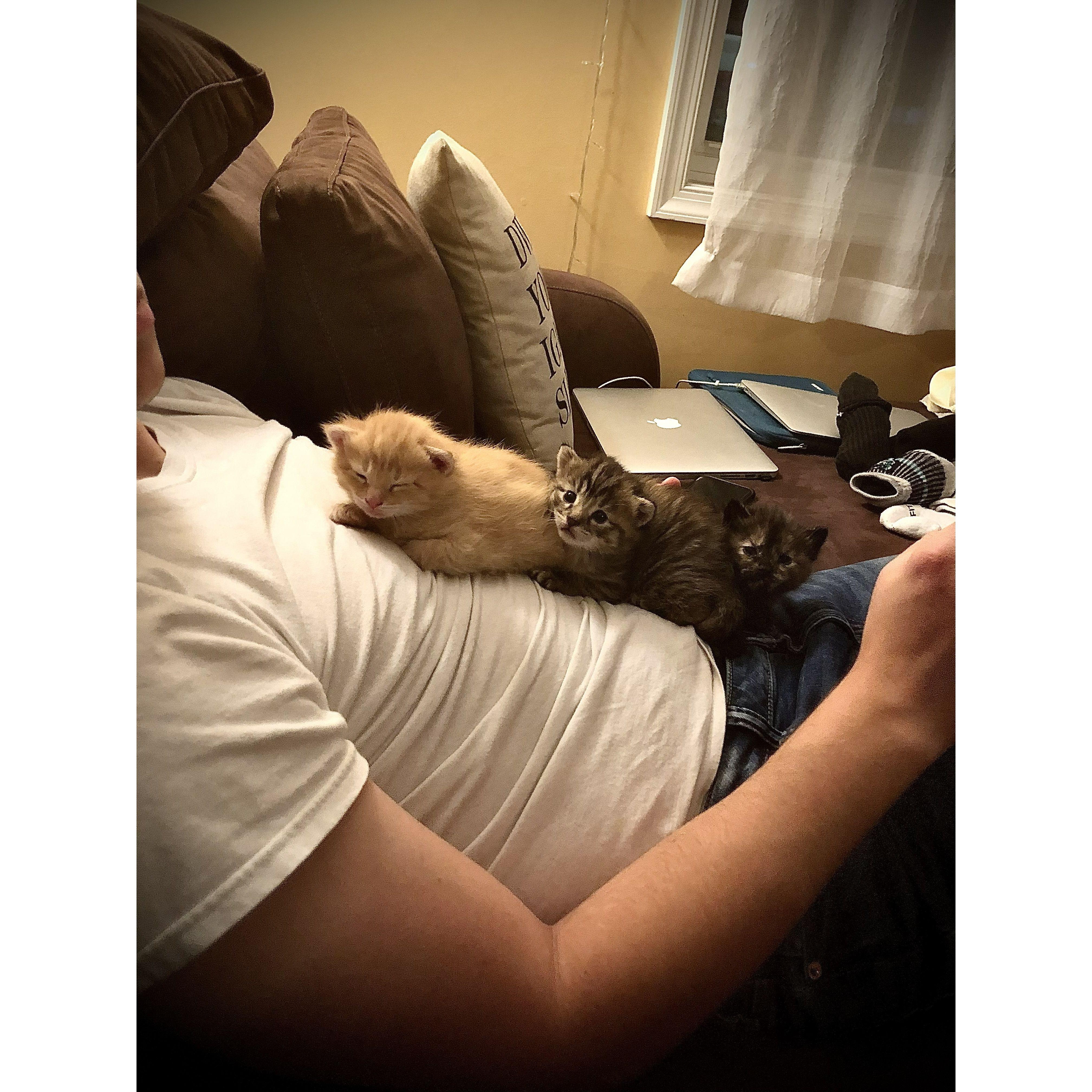 2020 - COVID quickly struck as soon as we returned from Europe... so we took on fostering 3 kittens (and their mama!).