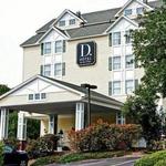 The D. Hotel Suites and Spa