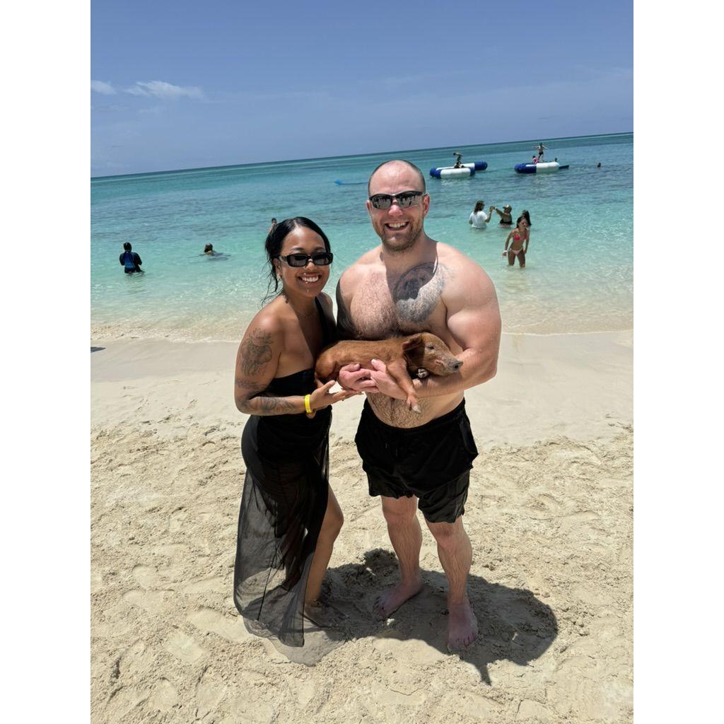 In the Bahamas swimming with pigs! 2024