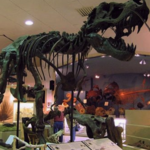 The Museum at the Black Hills Institue