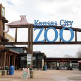 Kansas City Zoo & Aquarium
