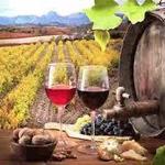 Wine Country!