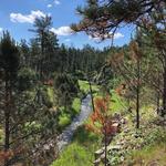 French Creek Natural Area & Hiking Trail