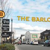 The Barlow