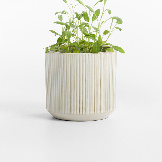 Tulu 6.25" x 6.50" White Indoor/Outdoor Ceramic Planter
