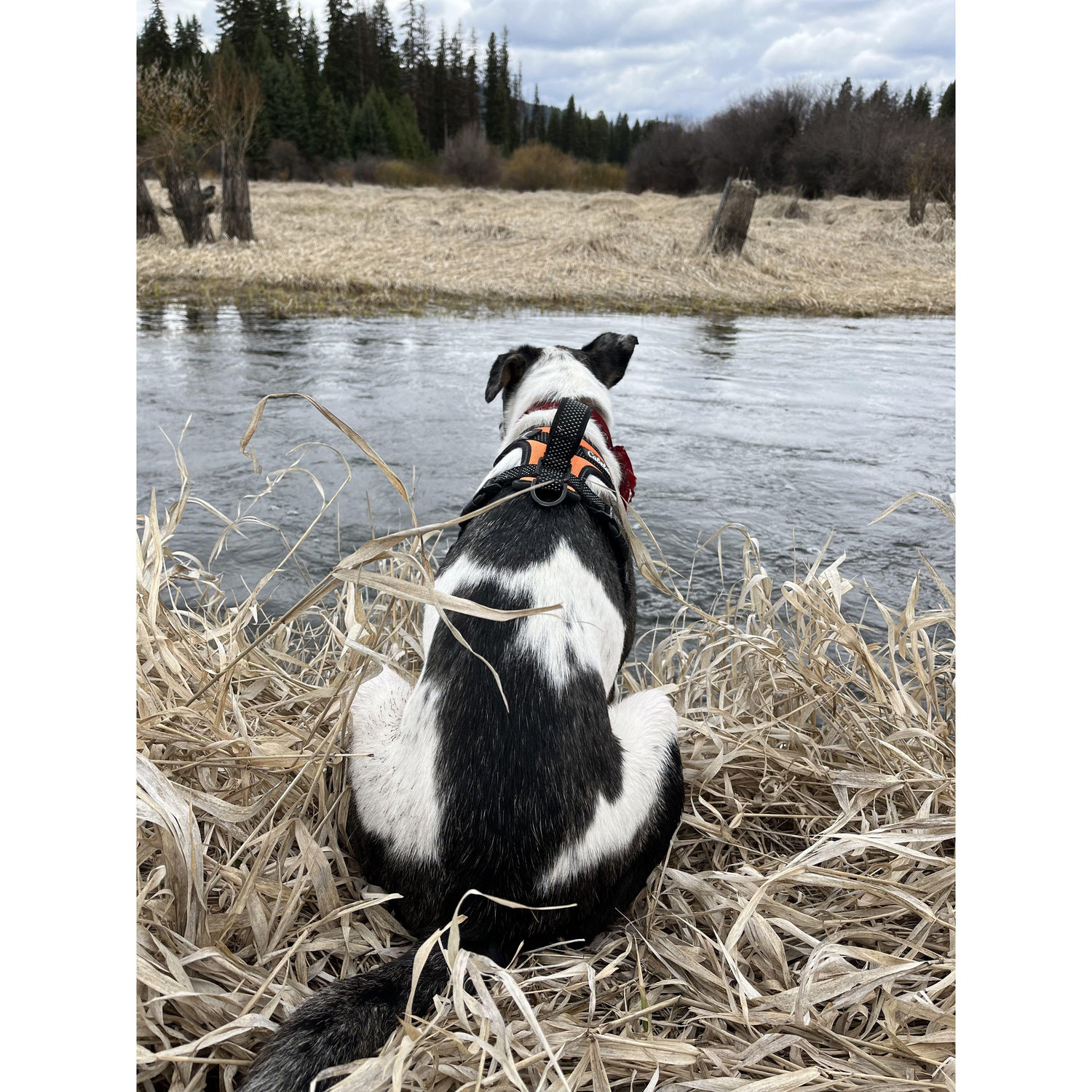 One of Sully's favorite places