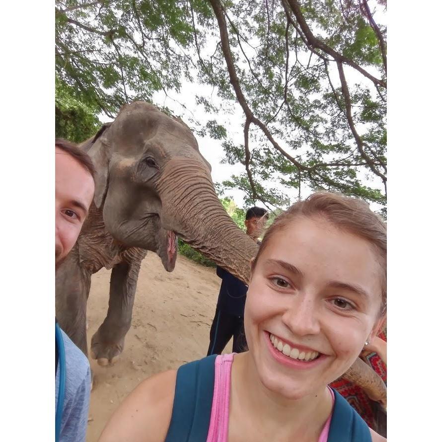 Elephant sanctuary in Thailand, 2018