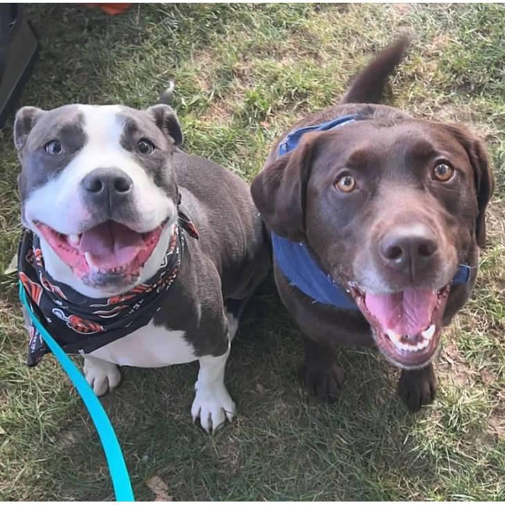 Can't forget Blue and Bud!