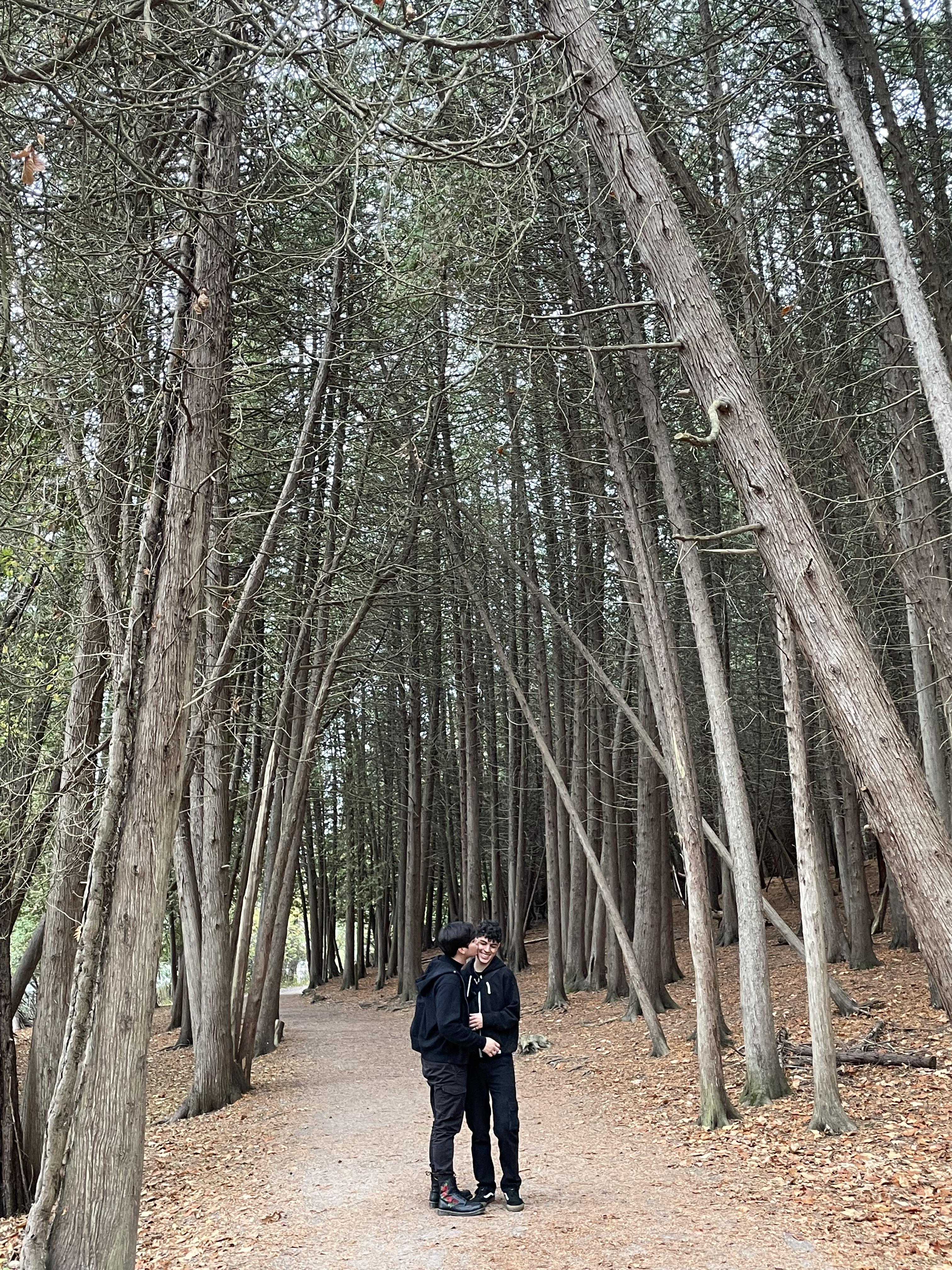 The Wedding Website of Javier Gonzalez and Andres Insuasti