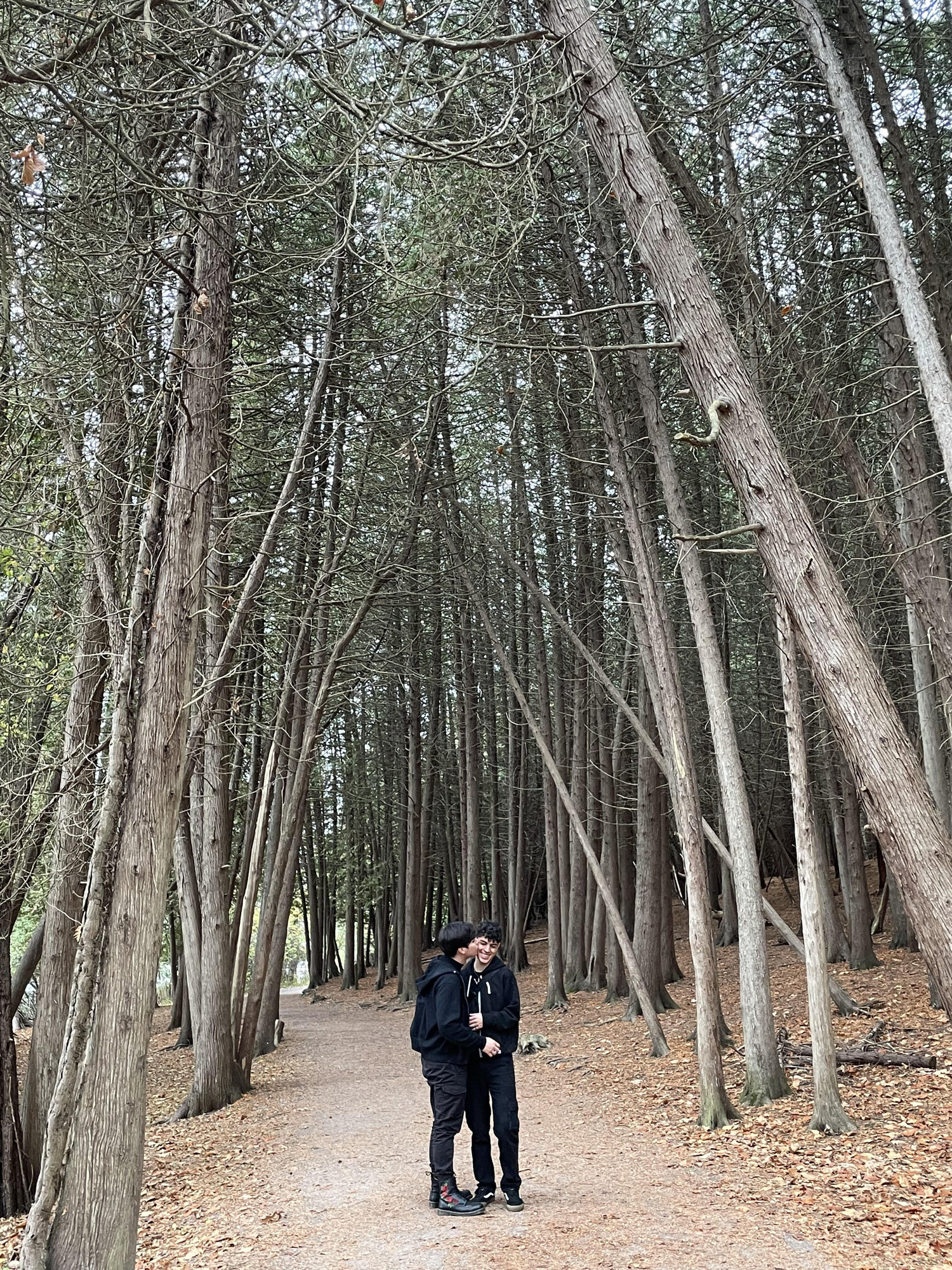 The Wedding Website of Javier Gonzalez and Andres Insuasti