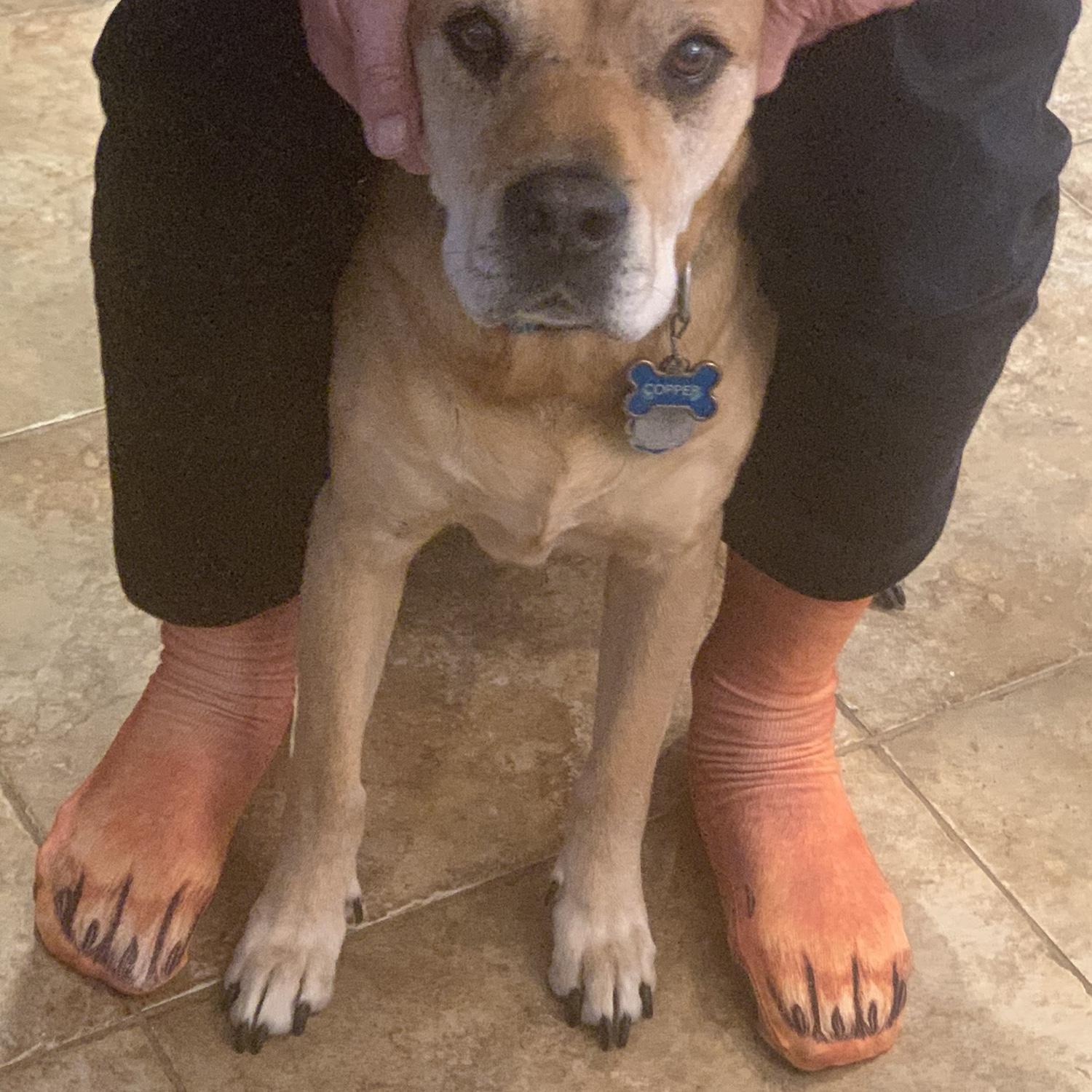 Mark & Copper match! My guys!