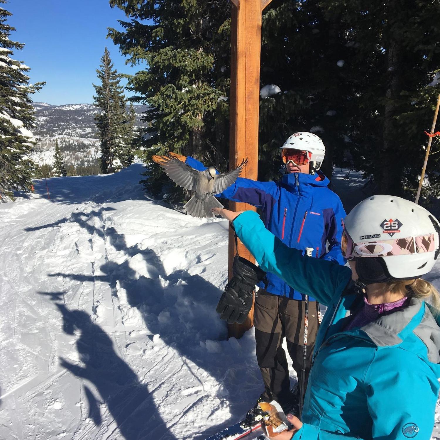 Steamboat 2018