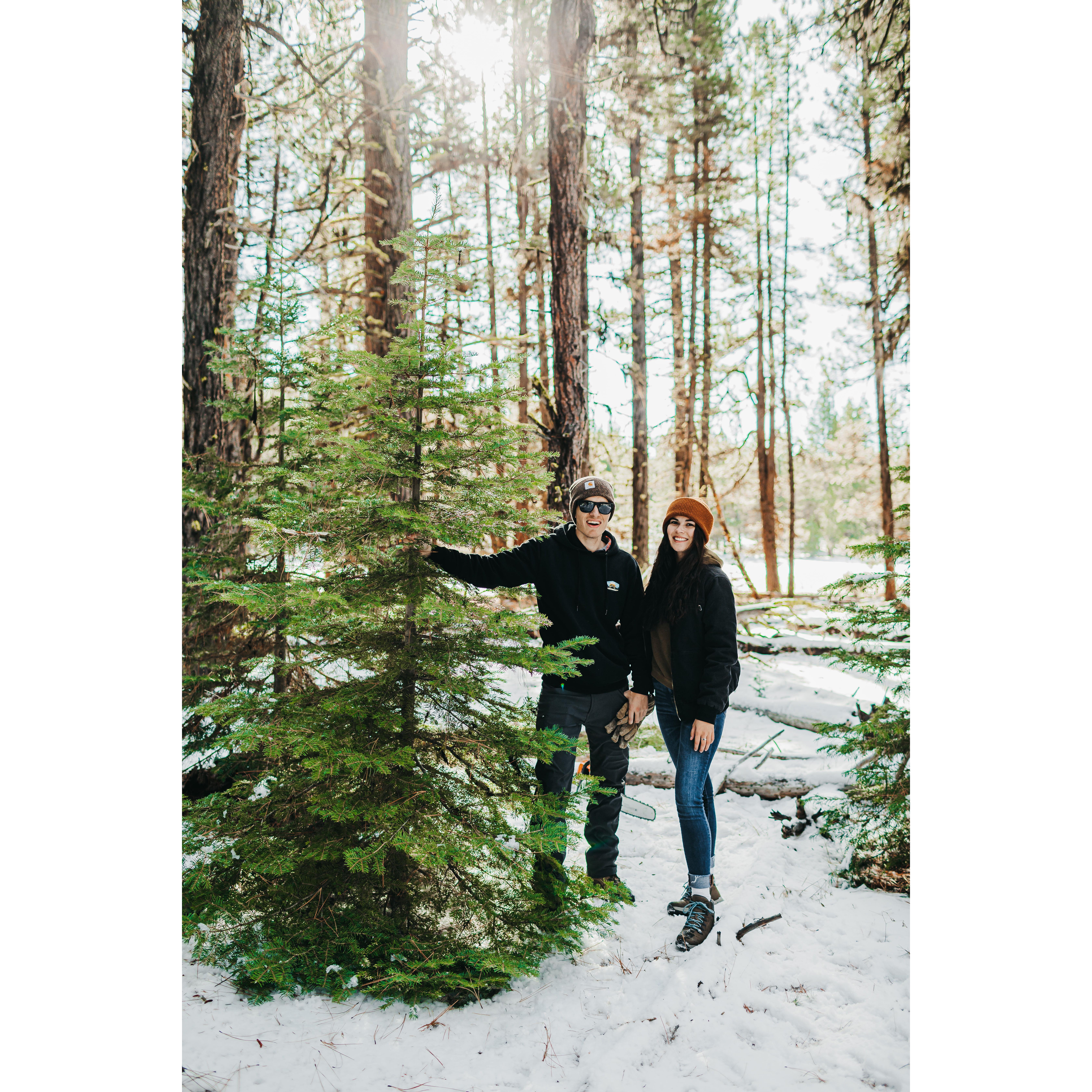 The first time we scouted & cut down our own christmas tree, a yearly tradition now