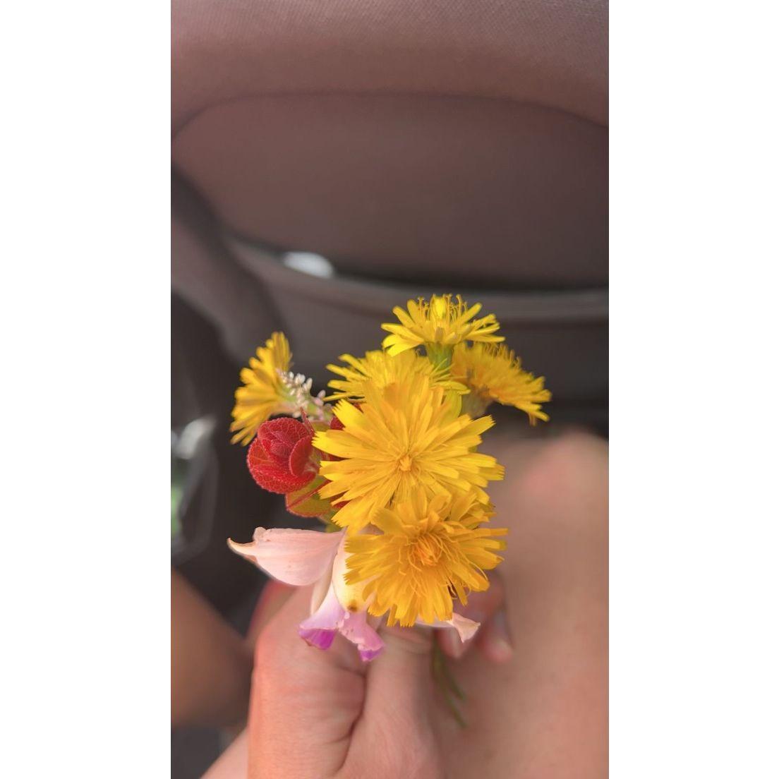 Aidan's first bouquet from Sophia!