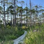 Jolee Island Nature Park