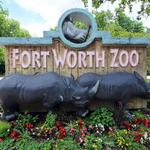 Fort Worth Zoo