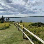 Roy's Island Trail Head