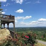 Bluemont Vineyard