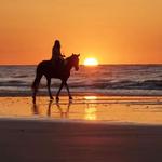 Horseback Riding