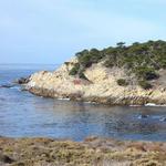 Point Lobos State Reserve Hike