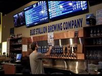 Blue Stallion Brewing Co.