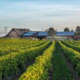 Newport Vineyards & Restaurant