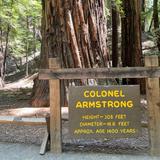 Armstrong Redwoods State Natural Reserve