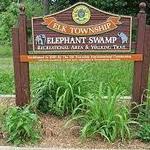 Elephant Swamp Nature Trail