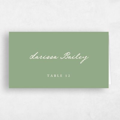 Pale Jade, Green Wedding Place Card - Dolores