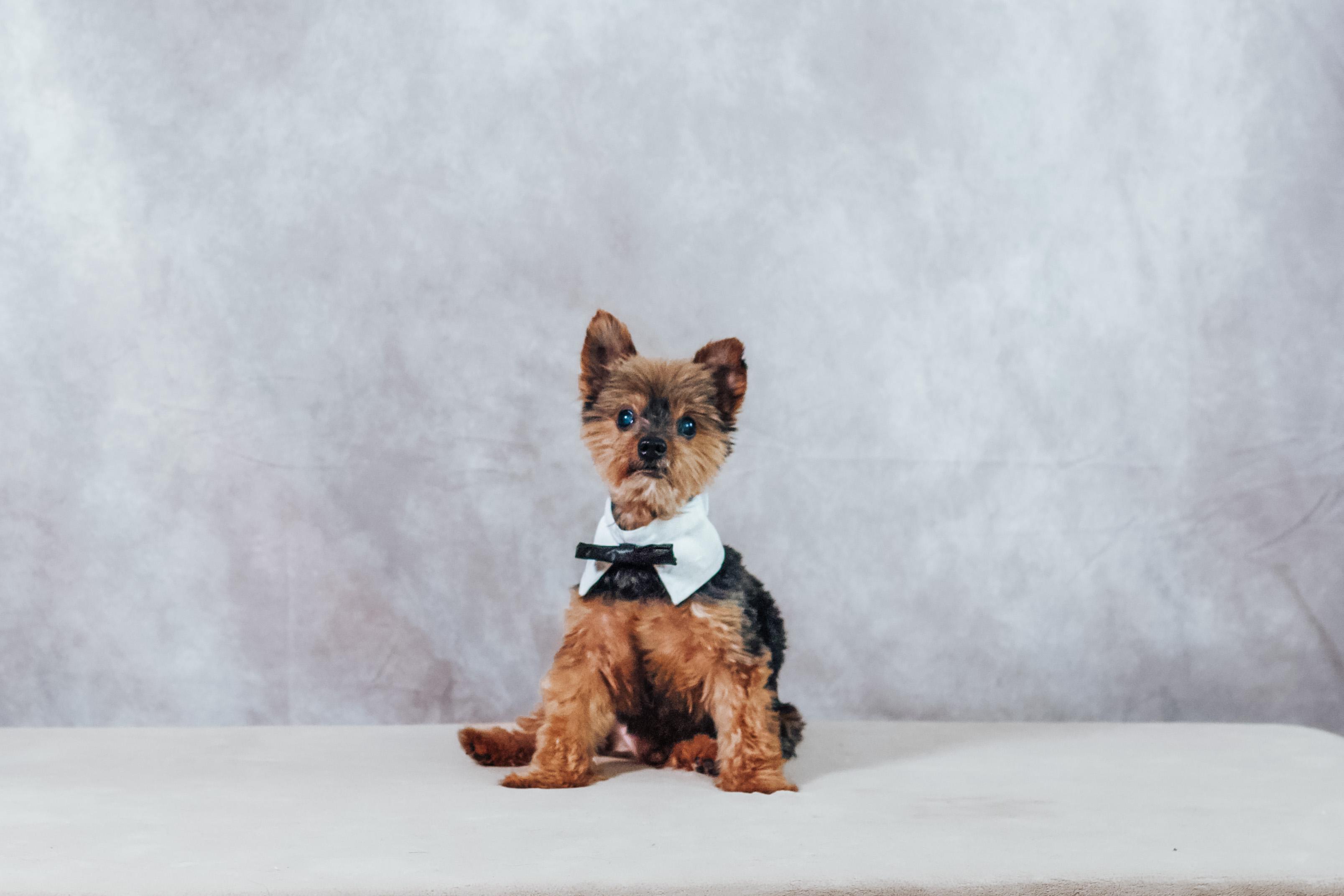 The Wedding Website of Katherine Riveros and Scott Vanek