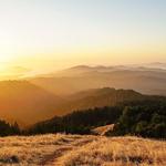 Mount Tamalpais