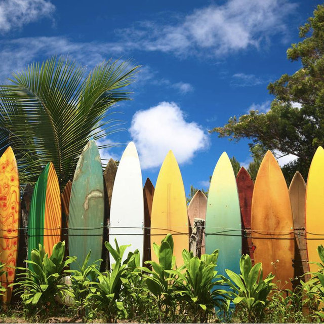 Our Hawaiian Honeymoon Fund
